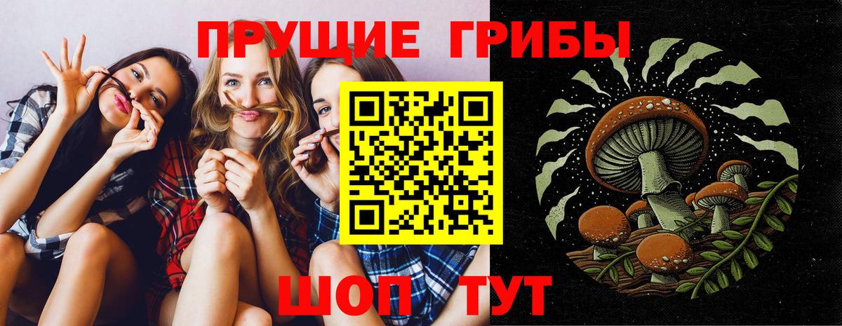 Галлюциногенные грибы прущие грибы  Псилоцибиновые грибы Psilocybine cubensis  Кириши  Вход с VPN 