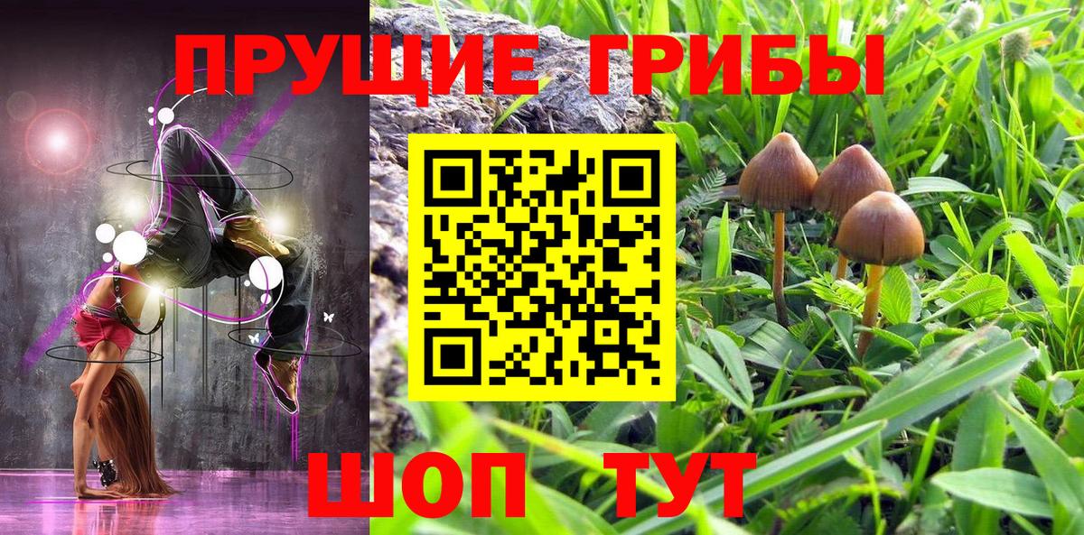 Галлюциногенные грибы Cubensis Кириши